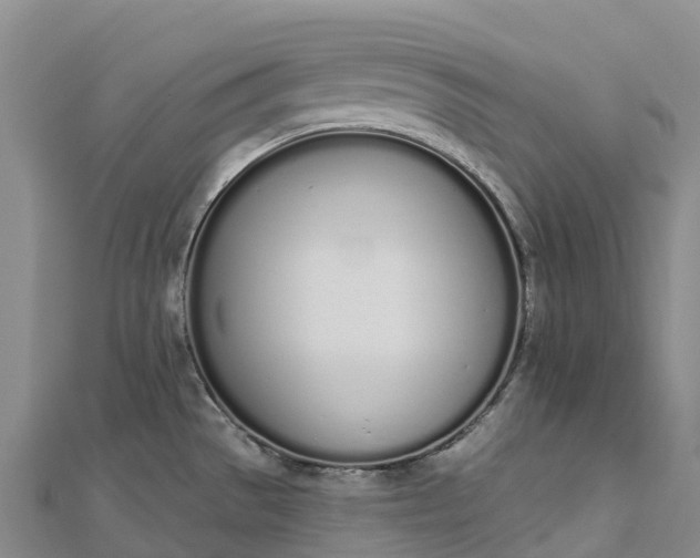 X0000112721529200909031406