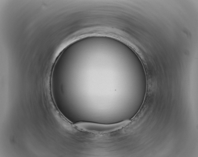 X0000112721530200909031406