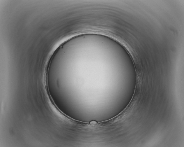 X0000112721531200909031406