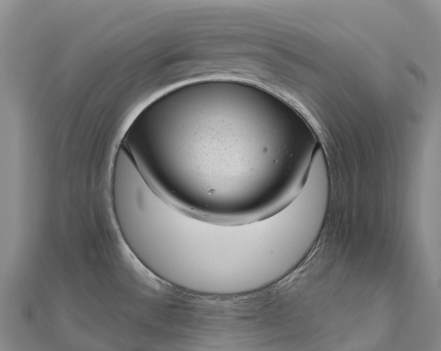 X0000112721532200909031406