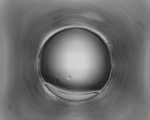 X0000112721535200909031406