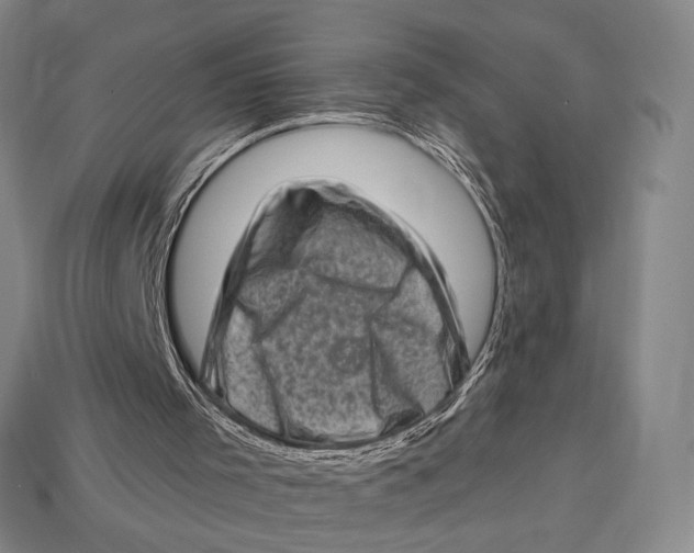 X0000112720001200909101456