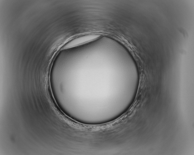 X0000112720002200909101456