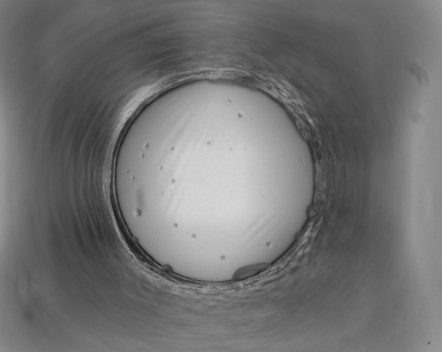 X0000112720003200909101456