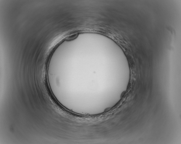 X0000112720005200909101456