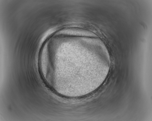 X0000112720006200909101456