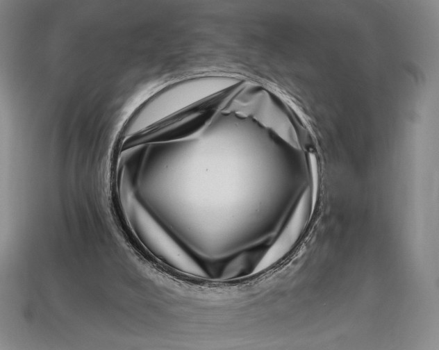 X0000112720008200909101456