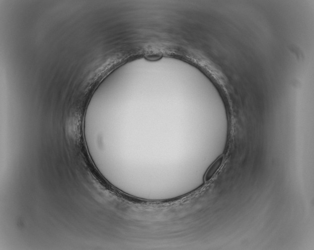 X0000112720009200909101456