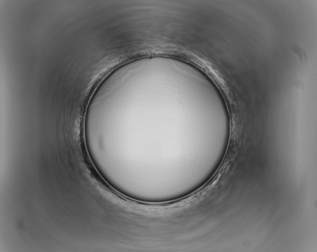 X0000112720010200909101456