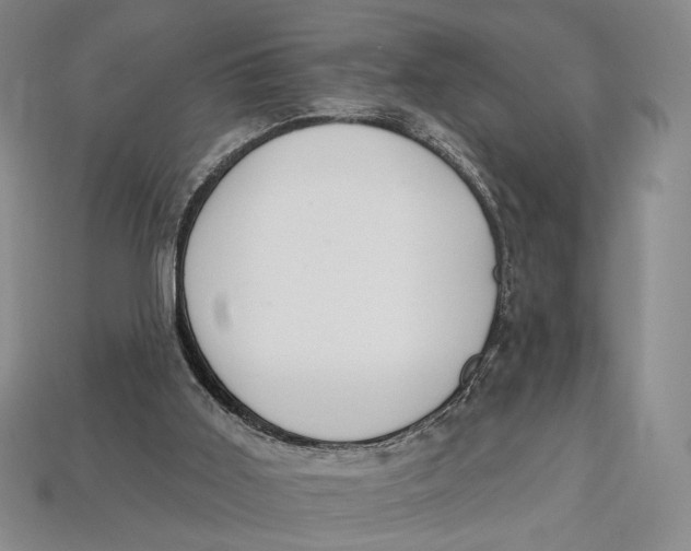 X0000112720011200909101456