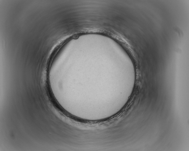 X0000112720012200909101456