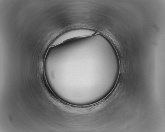 X0000112720014200909101456