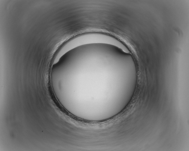 X0000112720015200909101456