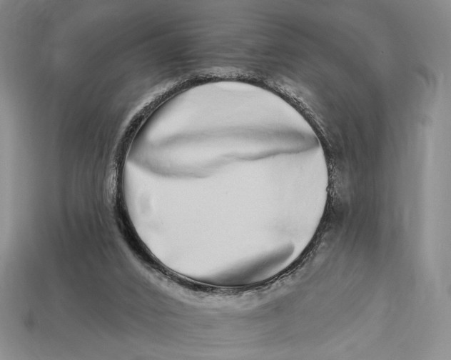 X0000112720016200909101456