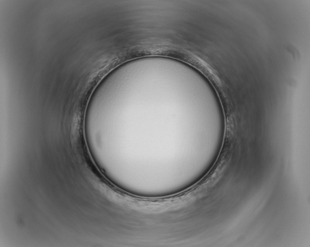 X0000112720018200909101456