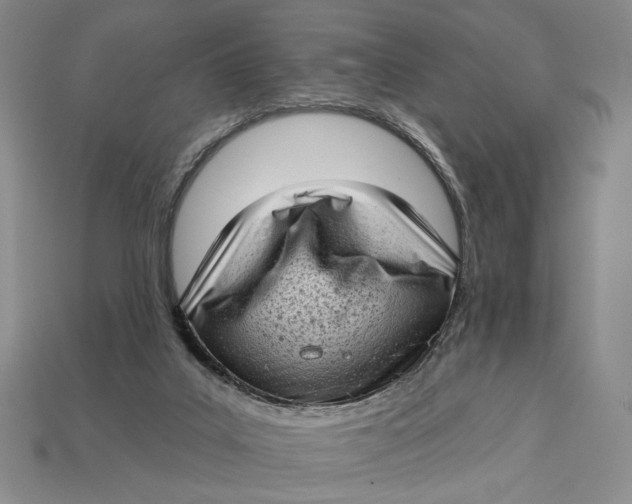 X0000112720019200909101456