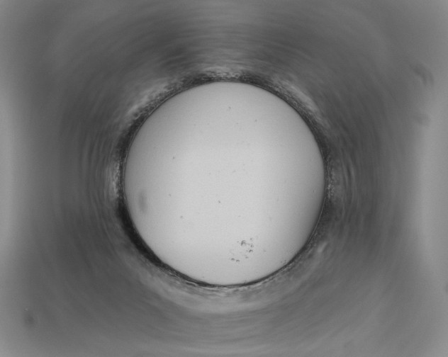 X0000112720023200909101456