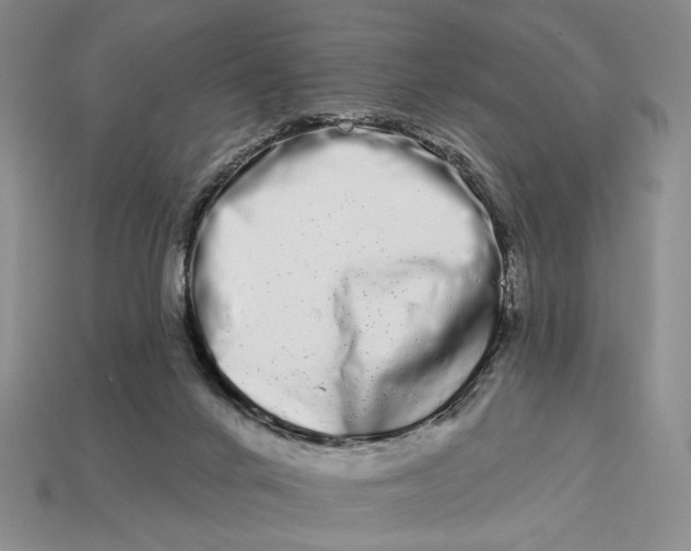 X0000112720024200909101456