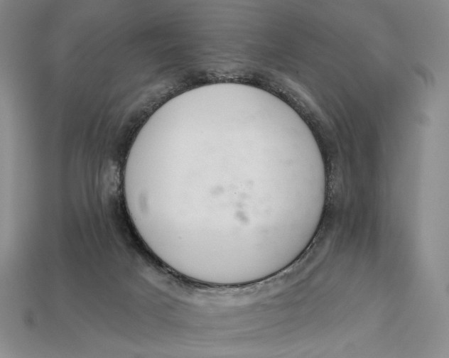 X0000112720025200909101456