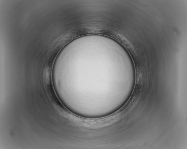 X0000112720026200909101456