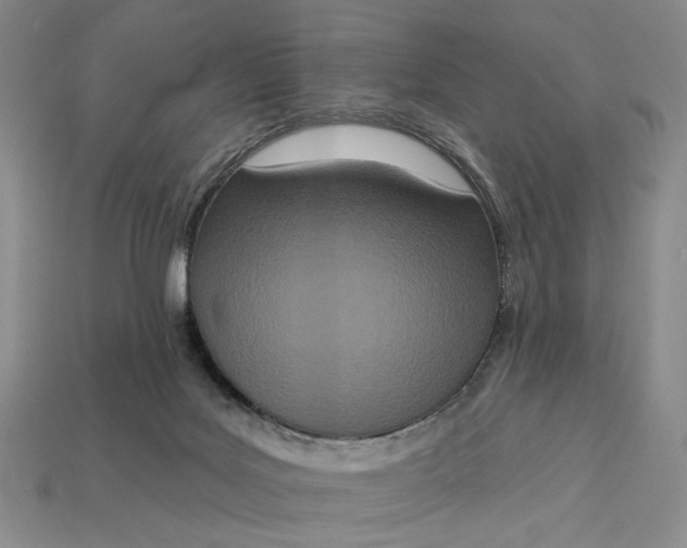 X0000112720027200909101456