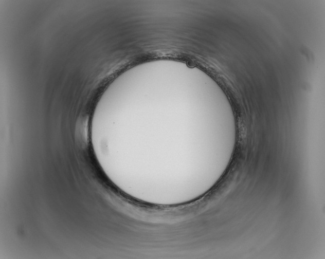 X0000112720028200909101456