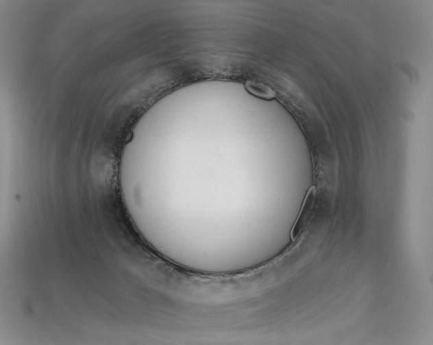 X0000112720029200909101456