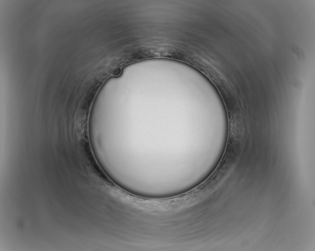 X0000112720030200909101456