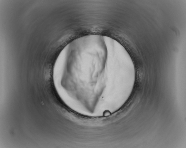 X0000112720032200909101456