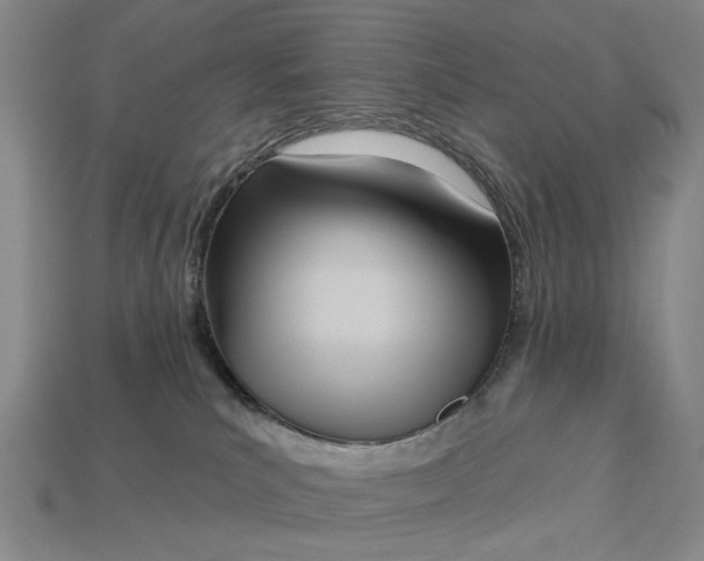 X0000112720039200909101456