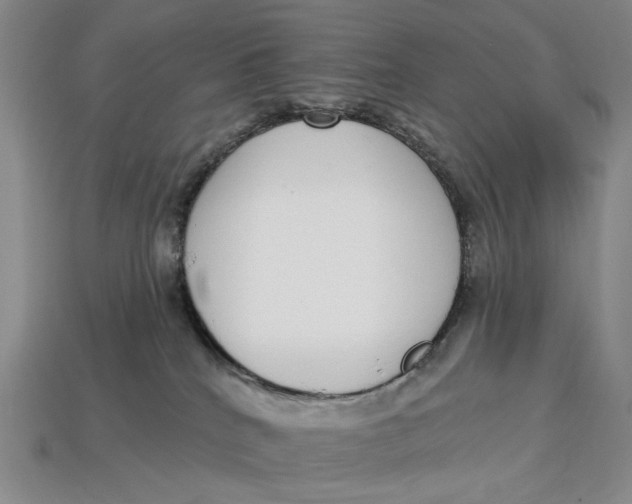 X0000112720040200909101456