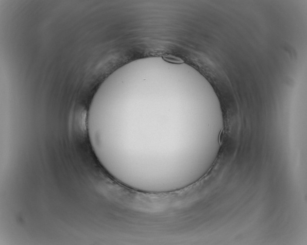 X0000112720041200909101456