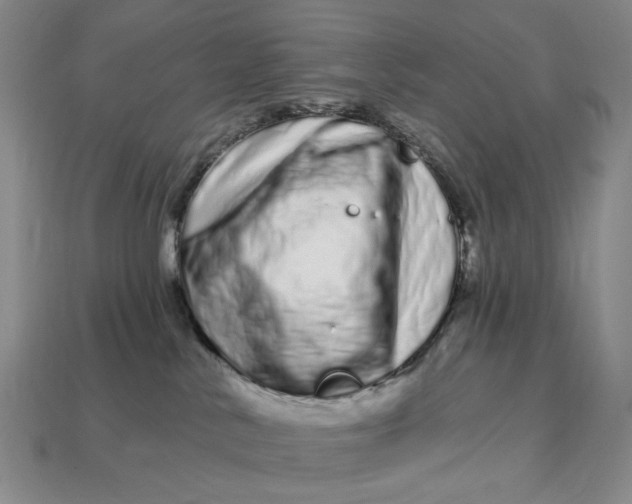 X0000112720042200909101456