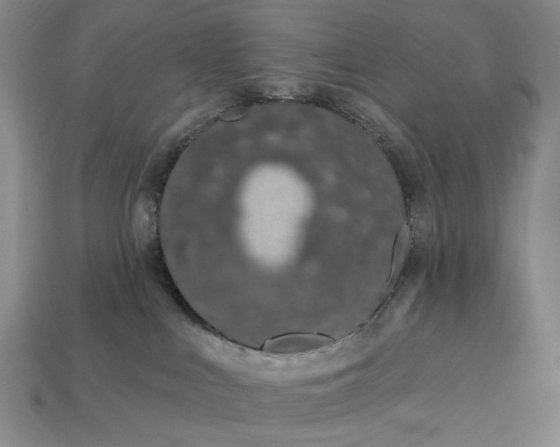 X0000112720043200909101456