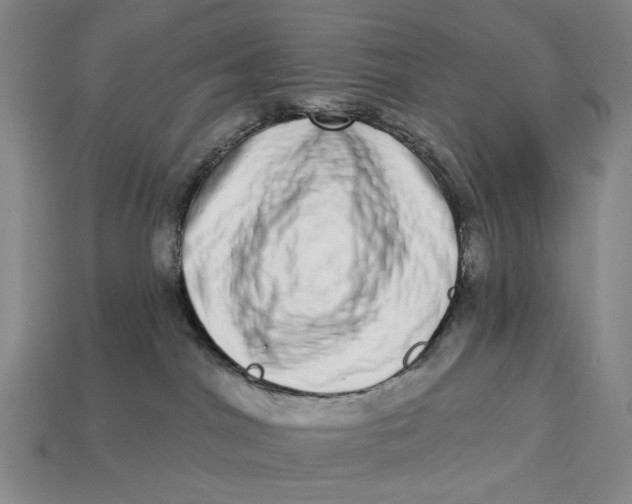 X0000112720044200909101456