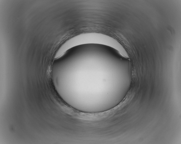 X0000112720045200909101456