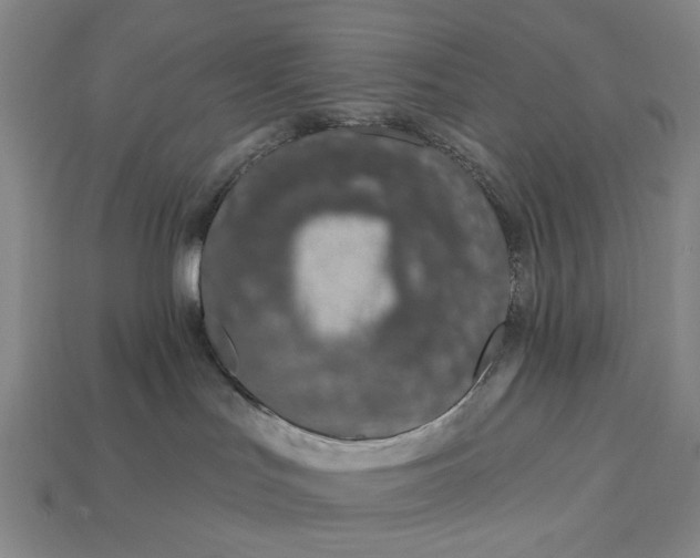 X0000112720047200909101456