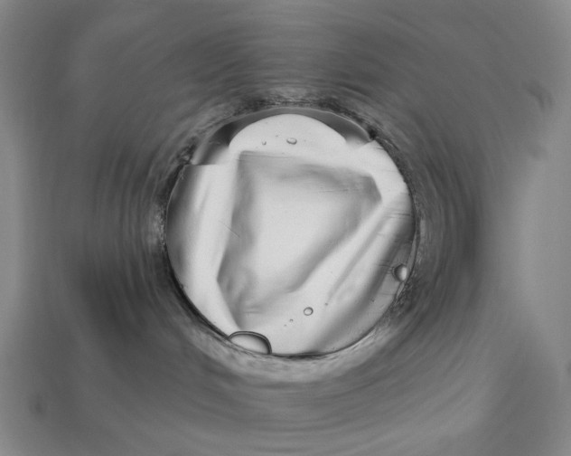 X0000112720048200909101456