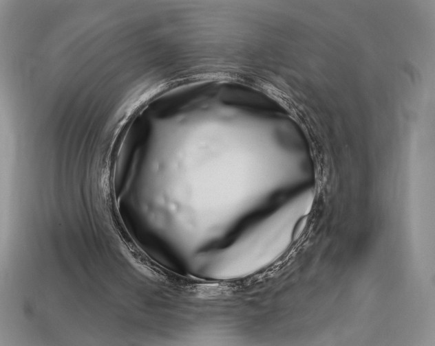 X0000112720050200909101455