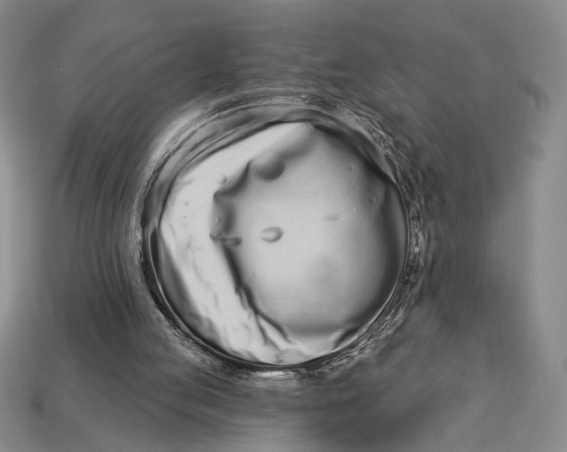 X0000112720053200909101455