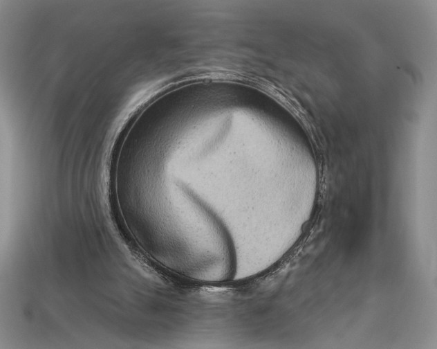 X0000112720055200909101455