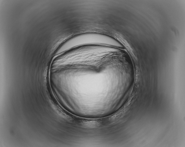 X0000112720058200909101455