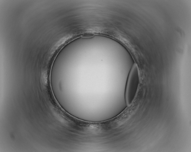 X0000112720060200909101455