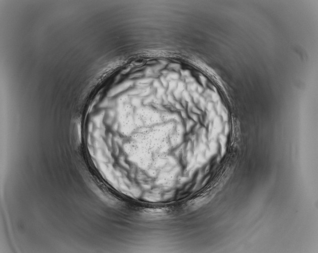 X0000112720061200909101455