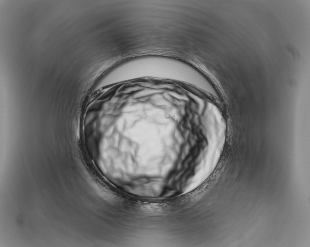 X0000112720062200909101455