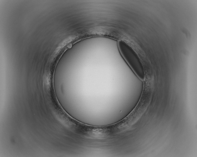 X0000112720064200909101455