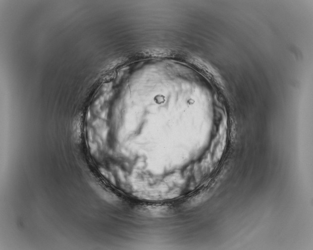 X0000112720065200909101455