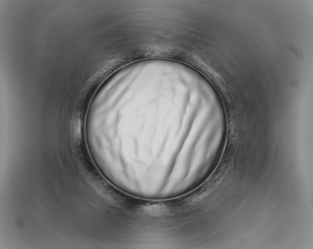 X0000112720067200909101455