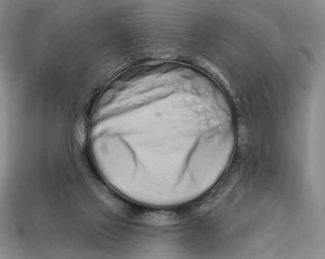 X0000112720069200909101455