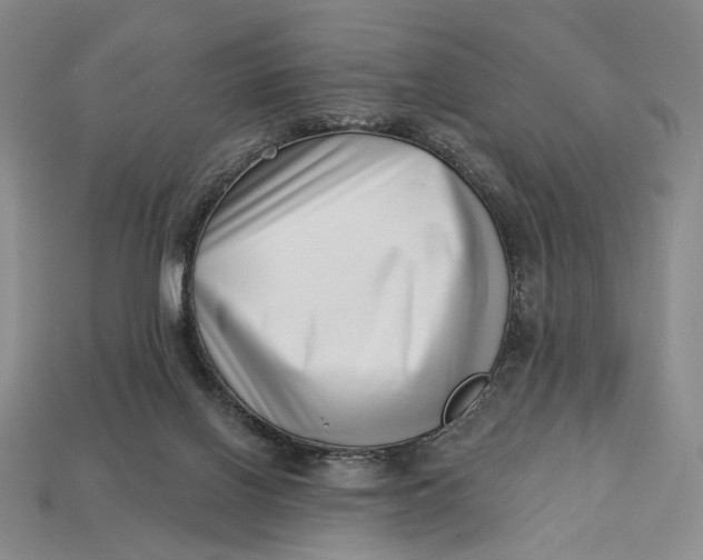 X0000112720070200909101455